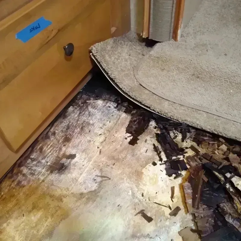 Wood Floor Water Damage in Wausau, WI